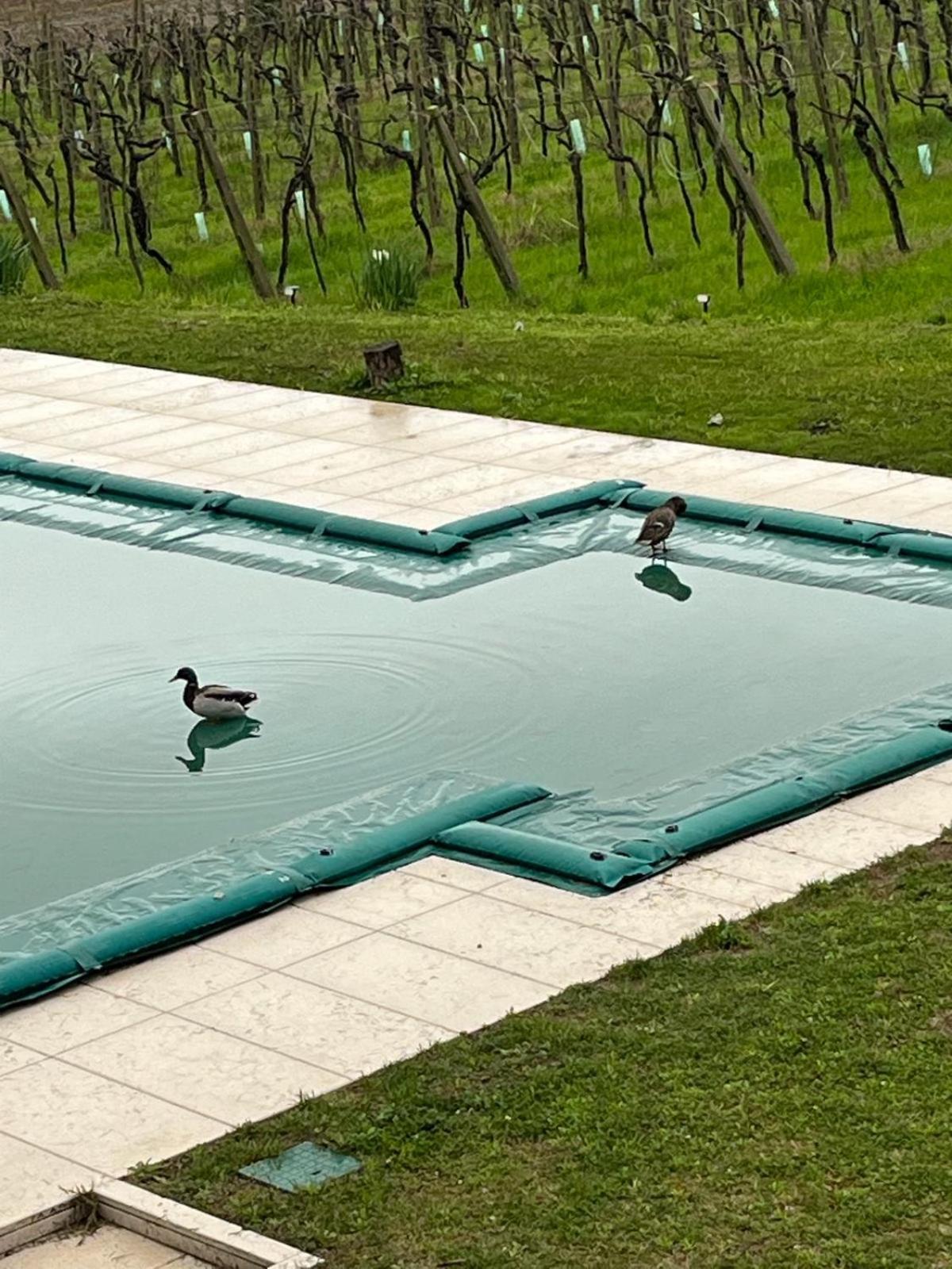 Agriturismo Al Dugale Lazise Ngoại thất bức ảnh